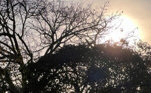 Persisten las altas temperaturas en todo el país
