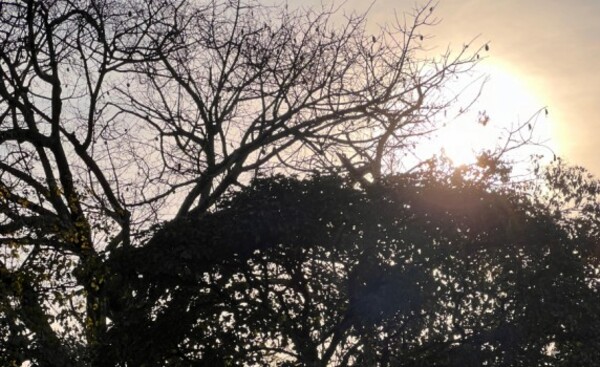 Persisten las altas temperaturas en todo el país