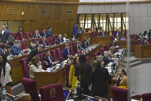 Los “problemas” que tiene la ley anti-ONG, según diputada Rocío Vallejo - Política - ABC Color