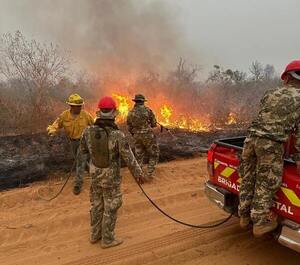 Bomberos confirman extinción de focos de incendio en Chovoreca