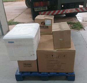 IPS recibe medicamentos oncológicos para pacientes pediátricos por parte de Salud - trece