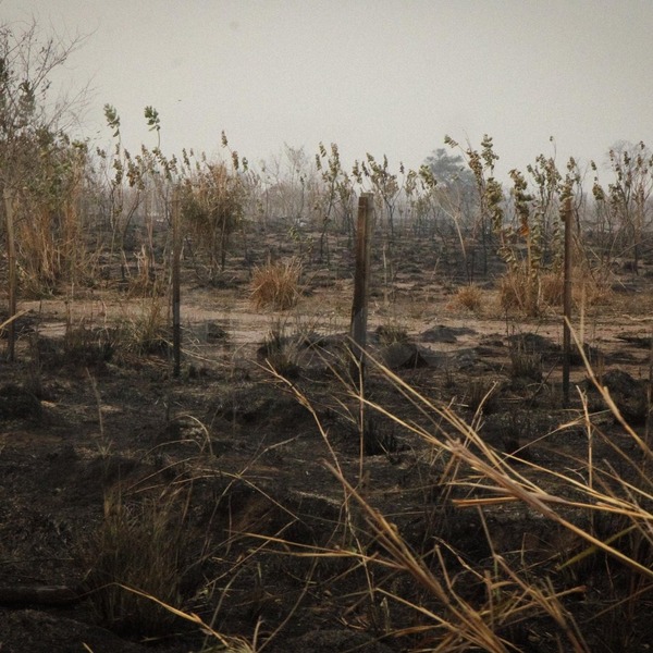 Alivio: Por fin ya no quedan focos de incendio en Chovoreca - ADN Digital