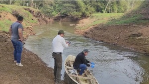 Mades recomienda evitar consumir peces muertos flotando en arroyos