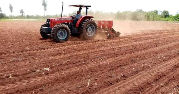 La Nación / Altas temperaturas no afectaron el inicio de la nueva campaña agrícola