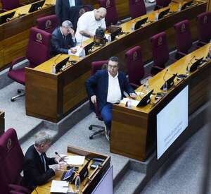 Comisión “garrote”: organizaciones se pronuncian contra narrativa que las trata de “amenaza para la democracia” - Política - ABC Color