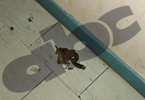 Indignación en Hospital de Itauguá: ratas, cucarachas y ausencia de medicamentos ponen en riesgo vidas - Nacionales - ABC Color