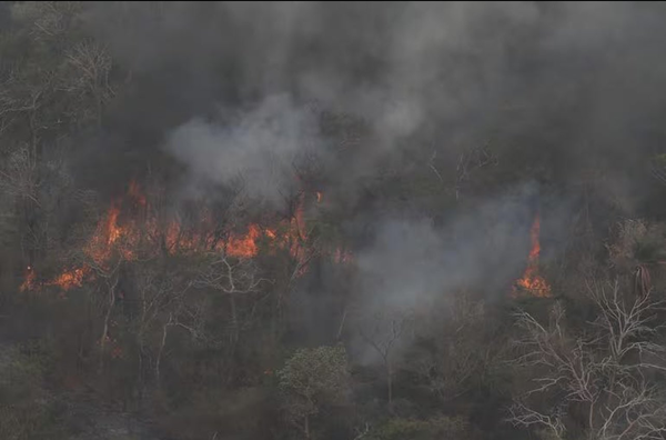 MADES aseguró que focos de incendios en el Chaco está controlado, pero no termina - trece