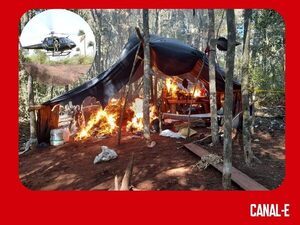 SENAD Y LA POLICÍA FEDERAL DEL BRASIL ATACAN CULTIVOS ILÍCITOS EN LA RESERVA NATURAL MOROMBI