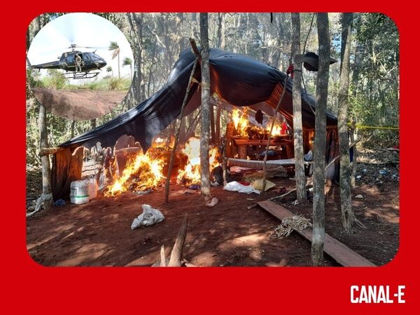 SENAD Y LA POLICÍA FEDERAL DEL BRASIL ATACAN CULTIVOS ILÍCITOS EN LA RESERVA NATURAL MOROMBI