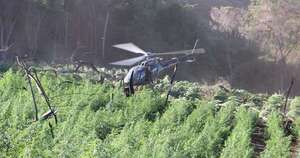 Diario HOY | Hallan campamentos narcos en Reserva Natural Morombi