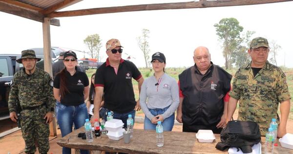 Diario HOY | Hallan cultivos de marihuana y tala ilegal durante operativo de desalojo