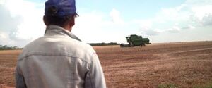 Impacto del uso de agrotóxicos en la colonia Y’ambue