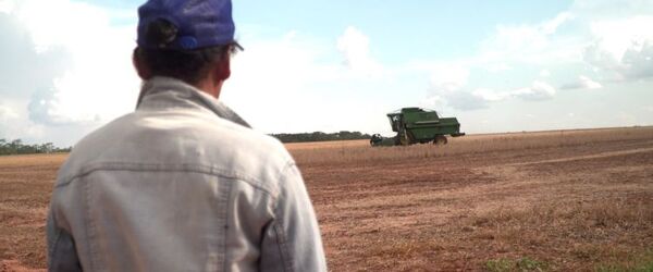 Impacto del uso de agrotóxicos en la colonia Y’ambue