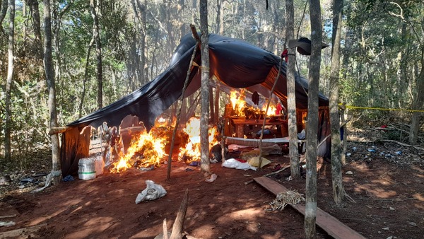 Senad destruye campamentos narcos y plantaciones de marihuana en Reserva Morombí - Unicanal
