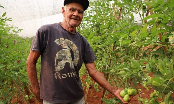 Emprendedores de Hernandarias instalan huertas con instrucción del SNPP y respaldo de ITAIPU
