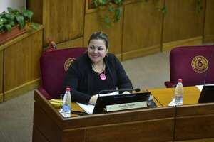 Intendente desconoce proyecto que usó la senadora Zenaida para justificar viaje a Tacuatí - Nacionales - ABC Color