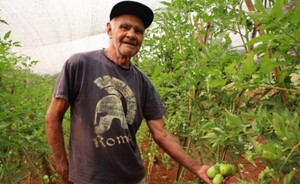 Emprendedores de Hernandarias instalan huertas con asistencia del SNPP