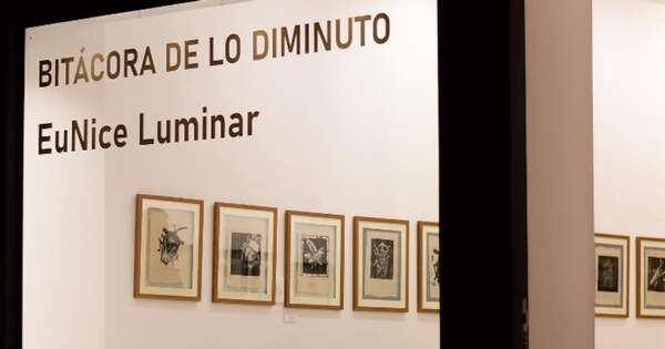 Diario HOY | Los insectos son protagonistas en la exposición de arte “Bitácora de lo Diminuto”