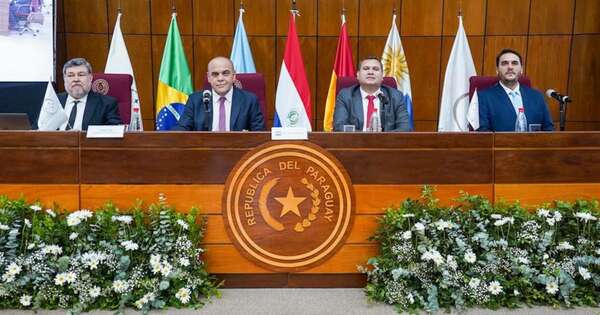 La Nación / “Paraguay ratificó su presencia en el Parlasur”, afirmó Maidana