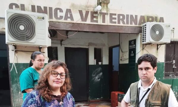 Trasladaron al zoológico a animales silvestres rescataron en el mercado de Luque