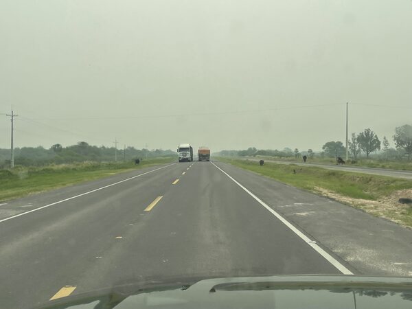 Peligrosa presencia de ganado sobre la ruta Transchaco
