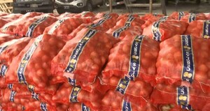 San Pedro: caen 28 toneladas de cebolla procedente de Brasil - trece