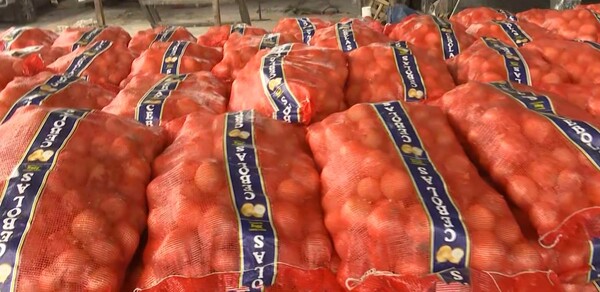 Cebolla de contrabando: caen más de 1000 bolsas procedentes de Brasil - Unicanal