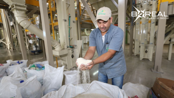 Producción de arroz contribuye al bienestar social del país, afirman - Unicanal