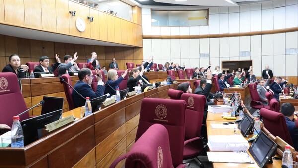 Senadores aprueban media sanción a nueva Ley de armas de fuego