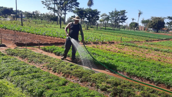 Da sus frutos: Producción frutihortícola en J. Augusto Saldívar creció 20% en el 2024