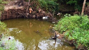 Para resucitar lago Ypacaraí, harán planta de tratamiento en el Yukyry