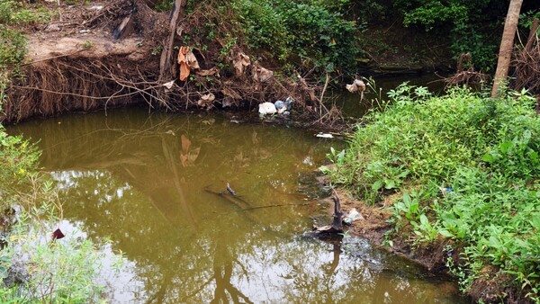 Para resucitar lago Ypacaraí, harán planta de tratamiento en el Yukyry