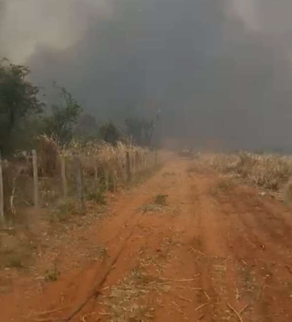 AUDIO: Incendio en el Chaco: fiscal niega que investigación esté “parada” - La Primera Mañana - ABC Color
