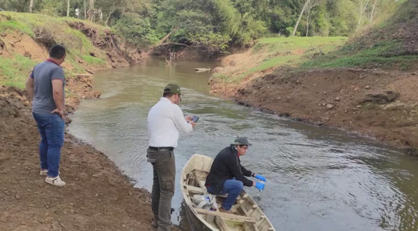 Mortandad de peces en el río Pirapó: desvío del canal colector de excedentes