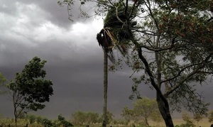 Meteorología anuncia lluvias y descenso de temperatura para este jueves