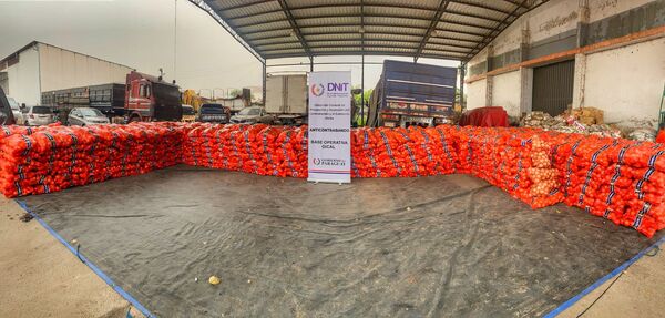 Megacarga de 28.000 kilos de cebolla de contrabando fue interceptada en San Pedro - .::Agencia IP::.