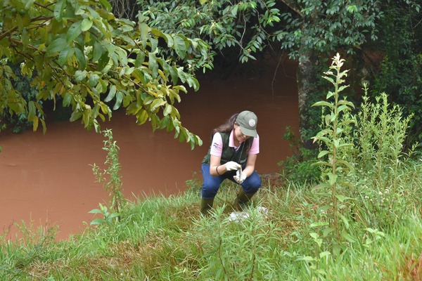 Premio Nacional de Periodismo Ambiental 2024: Una agenda para combatir la crisis climática en Paraguay - El Independiente