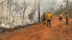 Continúa la lucha contra los incendios en la Reserva Chovoreca