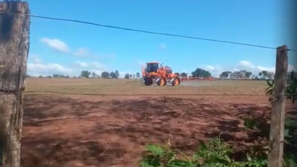 Agrotóxicos matan hasta a las gallinas