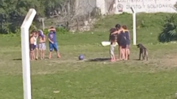 Video: niños hacen un minuto de silencio por la muerte del perrito del barrio