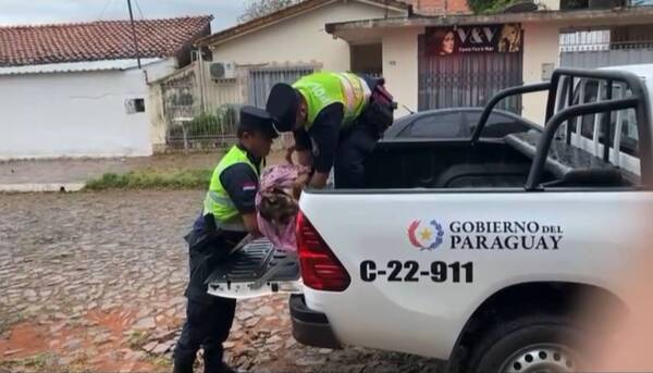 [VIDEO] Perrita heroína movilizó al rollo: enfrentó a un “chespi” para defender a su dueño y generó colecta
