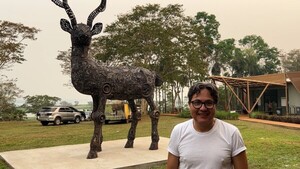 El ciervo que renació de las chatarras de cazadores furtivos