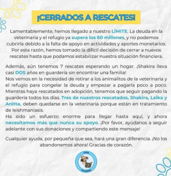 Por deudas Team Padrinos suspende rescates y busca hogares para 7 peludos - Portal Digital Cáritas Universidad Católica