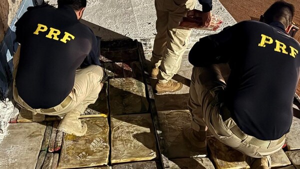 En Paraná ya se incautaron de 326 toneladas de droga