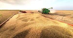 La Nación / Campaña agrícola 2024/2025 inició con la débil amenaza de La Niña