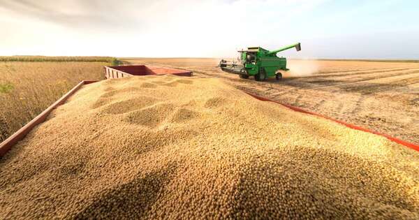 La Nación / Campaña agrícola 2024/2025 inició con la débil amenaza de La Niña