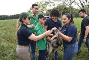 Estudiantes universitarios realizaron jornada de avistamiento de aves en Ayolas - Nacionales - ABC Color