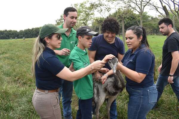Estudiantes universitarios realizaron jornada de avistamiento de aves en Ayolas - Nacionales - ABC Color