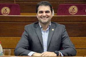 Ley anti-ONG es un riesgo latente ante postura poco seria del Gobierno, dicen diputados - Política - ABC Color