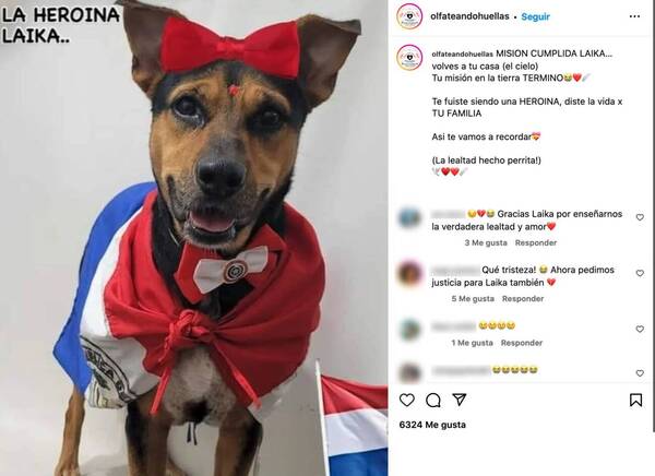 Se fue la heroína que movilizó al rollo: no soportó las heridas ni la cirugía